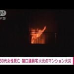 【速報】救助された30代女性死亡 猪口邦子議員宅が火元のマンション火災 東京・文京区(2024年11月28日)