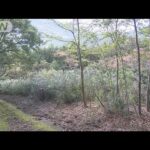 30代男性死体損壊・遺棄事件 逮捕の3人と同じ飲食店グループ　静岡(2024年12月8日)