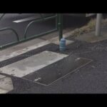 東京・練馬区で死亡ひき逃げ事件　自転車に乗っていた女性が死亡(2025年10月16日)