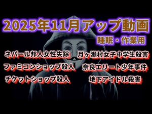 『睡眠用・作業用』2025年11月アップ事件