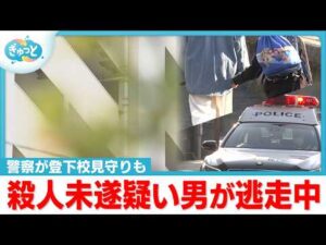 男性の腹を刺す殺人未遂事件 犯人逃走つづく【ぎゅっと】（2026年3月23日OA）