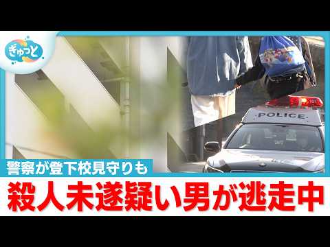 男性の腹を刺す殺人未遂事件 犯人逃走つづく【ぎゅっと】（2026年3月23日OA）