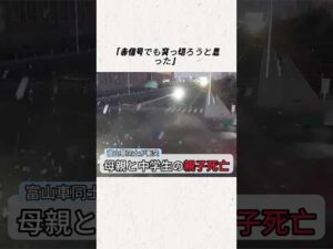 青信号の母子はなぜ命を落としたのか？その理由に怒りが込み上げる#事件#事故