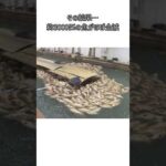 3000匹が一夜で… #事件解説 #事件 #事故 #事故解説 #衝撃の事実