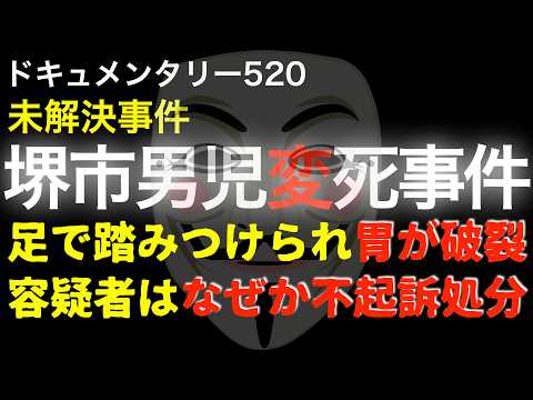 【未解決】堺市男児の不可解な事件