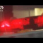 カンボジア拠点の特殊詐欺事件　日本人幹部を逮捕(2025年4月9日)