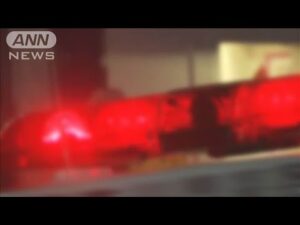 カンボジア拠点の特殊詐欺事件 日本人幹部を逮捕(2025年4月9日)