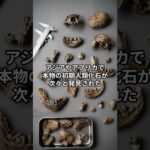 史上最大の化石捏造事件