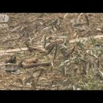 東大阪市・切断遺体遺棄事件　被害者の口座から現金引き出しか(2025年2月6日)