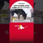 【赤ちゃん死体遺棄事件で新供述】逮捕された17歳少女は「出産を親に言えずどうしたら良いかわからなかった」家族も少女の妊娠に気づかなったか〈北海道・石狩市〉