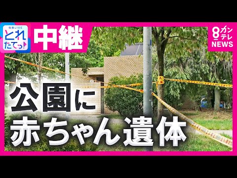 「赤ちゃんが置いてある」大阪・北区　扇町公園で赤ちゃんとみられる遺体見つかる　茂みの中から…警察が死体遺棄事件として捜査　服を着ておらず生後間もないか　梅田から約1kmの公園　〈カンテレNEWS〉