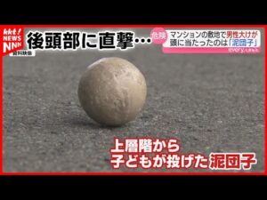 男性が頭に大けが 原因は子どもが投げた『泥団子』だった 熊本市のマンション敷地