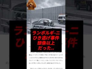 【速報】ランボルギーニひき逃げ事件、想像以上だった..