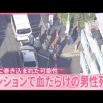 マンションで“40代”男性が死亡…事件に巻き込まれた可能性  東京・大田区【中継】