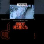 銃撃犯を追い払った英雄 #事件解説 #銃撃事件 #実話犯罪