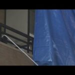 マンション一室で高齢女性が死亡　殺人事件か　体に殴られたような傷　大阪市(2026年3月14日)