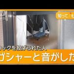全裸男、約20件の事件・事故に関与か　ブロック投げつけも　逮捕までの1時間半【知ってもっと】【グッド！モーニング】(2025年4月24日)