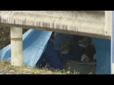 京都 男児遺体遺棄事件　直前に口論になり、父親が公衆トイレ周辺で殺害か(2026年5月6日)