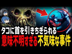 【ゆっくり解説】最後まで理解不能…本当にあった意味不明事件5選