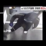 【詳報】夜のスーパー襲った強盗事件　男が事務所に侵入し189万円奪い逃走　警察が画像公開（境港市）