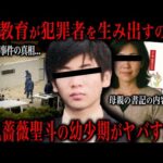 【元少年A】酒鬼薔薇事件の母親が本に綴った狂気の内容が