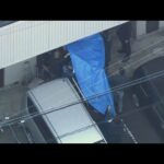 26年前の主婦殺害事件　逮捕の女「凶器の刃物は捨てた」(2025年11月5日)