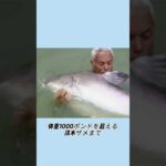 ジェレミー・ウェイドが番組を終えた本当の理由#事件