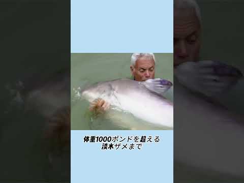 ジェレミー・ウェイドが番組を終えた本当の理由#事件