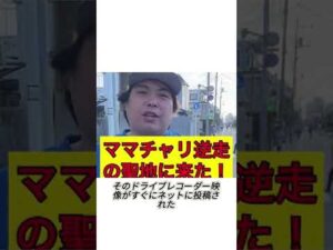 全ネットに裁かれた彼女は無実だった#事件