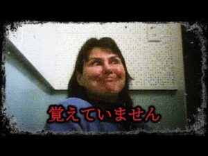 23年の未解決事件。犯人は現職の女刑事