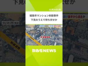 【姫路市マンション刺殺事件】逮捕の男は前日に“下見”し待ち伏せした可能性…裏手から逃走か(2026年1月26日)#shorts