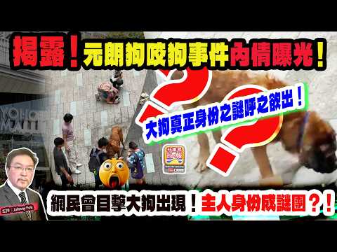 8.18【揭露！元朗狗咬狗事件內情曝光！】 大狗真正身份之謎呼之欲出！網民曾目擊大狗出現！主人身份成謎團？！主持: Johnny Fok