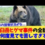 羅臼岳ヒグマ事件の全貌、何度見ても苦しすぎる【2chまとめ】【2chスレ】【5chスレ】