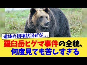 羅臼岳ヒグマ事件の全貌、何度見ても苦しすぎる【2chまとめ】【2chスレ】【5chスレ】