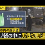 大阪市内の遊歩道の植え込みに男性切断遺体　死体遺棄事件として捜査　ポリ袋の中に約10の肉片と約20の骨のかけら　住民「死角になっている」【news23】｜TBS NEWS DIG