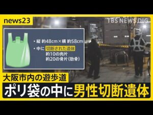 大阪市内の遊歩道の植え込みに男性切断遺体 死体遺棄事件として捜査 ポリ袋の中に約10の肉片と約20の骨のかけら 住民「死角になっている」【news23】|TBS NEWS DIG