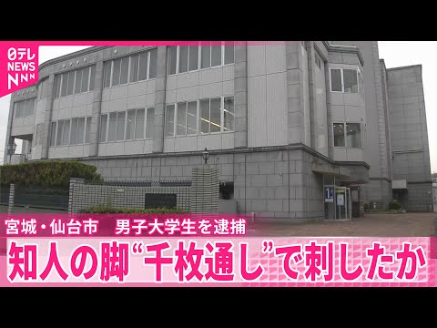 【事件】知人の脚を千枚通しで刺した疑い、19歳の男子大学生を逮捕 宮城・仙台市