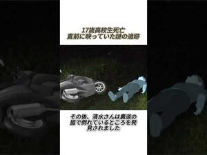 なぜこの4人は追われていたのか？  17歳高校生死亡の謎  #事件 #ニュース #衝撃映像 #防犯カメラ #相模原 #日本ニュース