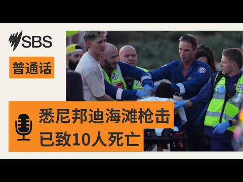 悉尼邦迪海滩枪击事件:10人死亡 包括一名枪手 | SBS Mandarin - SBS 普通话电台