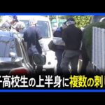 15歳の女子高校生が刃物で刺され死亡 上半身には複数刺し傷　近くには血のついた包丁…刺したとみられる24歳男確保 さいたま・桜区｜TBS NEWS DIG