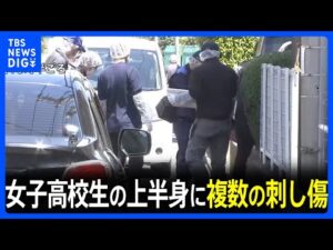 15歳の女子高校生が刃物で刺され死亡 上半身には複数刺し傷　近くには血のついた包丁…刺したとみられる24歳男確保 さいたま・桜区｜TBS NEWS DIG