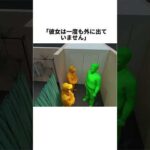 試着室から消えた妻…5年後、夫が見つけた衝撃の姿 #事件 #映画
