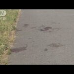 男性が河川敷で刺される　殺人未遂事件で捜査　大阪(2025年6月2日)