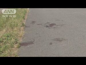 男性が河川敷で刺される 殺人未遂事件で捜査 大阪(2025年6月2日)