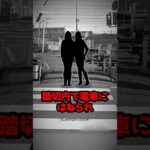 【1億円訴訟】 踏切内で死亡した中国人観光客→背景には“誤認されやすい踏切”の構造問題が…事故現場の実態とは #shorts