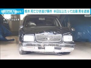 栃木・那須町 死亡ひき逃げ事件 半日以上たってから出頭 男を逮捕(2025年1月21日)