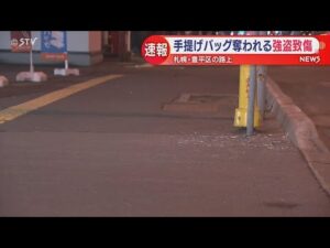手提げバッグひったくられる　犯人逃走中…強盗致傷事件　札幌市豊平区