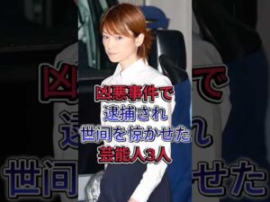 凶悪事件で逮捕され世间を惊かせた芸能人3人 #shorts #fyp #吉澤ひとみ #高樹沙耶