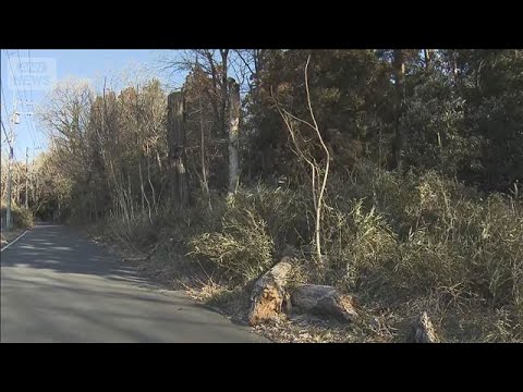 茨城・つくば市の山林で女性遺体　殺人事件の可能性も(2026年1月31日)