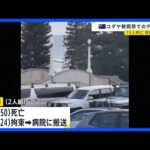 【シドニー・ボンダイビーチ銃撃事件】15人死亡　親子2人での銃撃は“ユダヤ系狙ったテロ事件”か｜TBS NEWS DIG